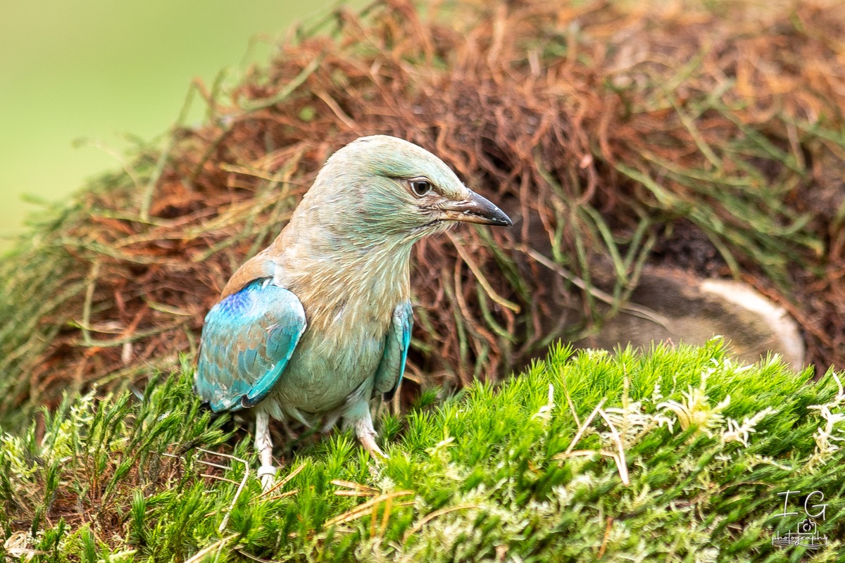 AK6I1631 31 oktober 2021 1529 36